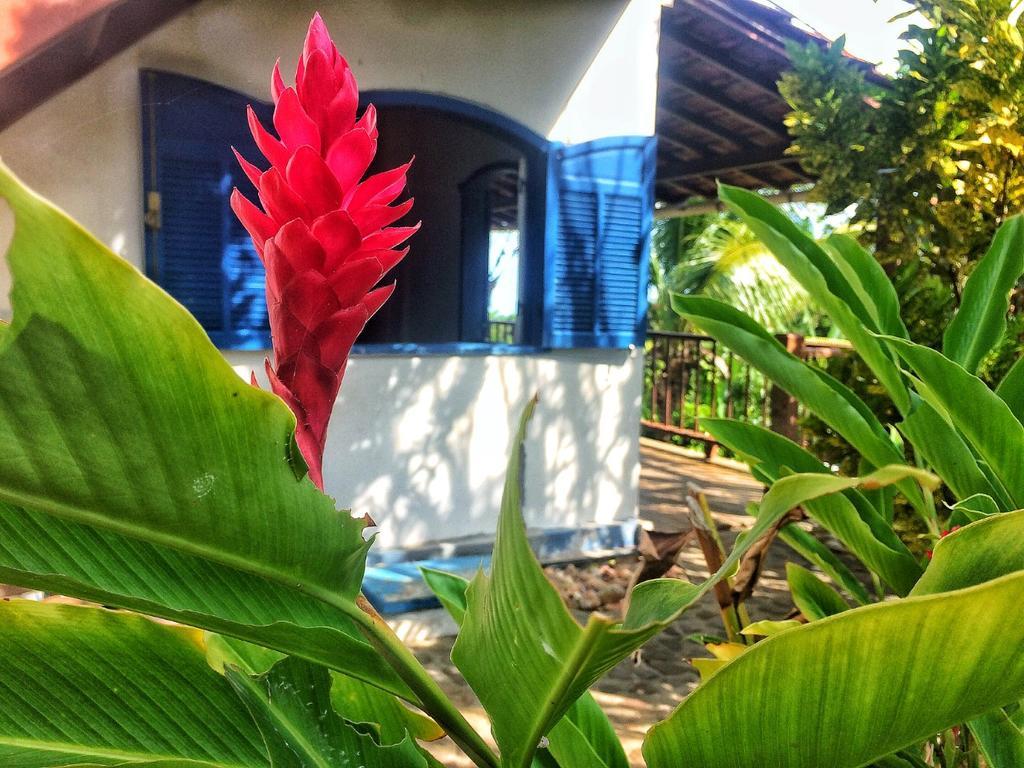 Casa Azul Mangaba Ξενοδοχείο Morro de São Paulo Εξωτερικό φωτογραφία